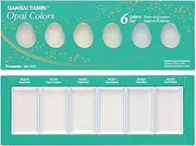 Kuretake Gansai Tambi Opal Colors, 6 Colors Set, Polarized Pearl, Metalic, Ideal for Calligraphy, Illustrations, Brush Lettering, Fineart and more, for Accent Color, Made in Japan, MC20OC/6V