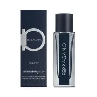 在飛比找momo購物網優惠-【Salvatore Ferragamo】菲常先生男性淡香水