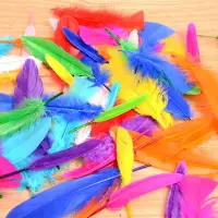 在飛比找樂天市場購物網優惠-幼兒園手工彩色羽毛diy裝飾品 兒童創意美術課程創意制作材料