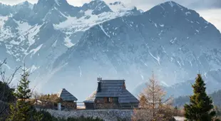 Koca Ojstrica - Velika planina