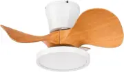 Quiet Ceiling Fan with LED Light 22 Inch Large Air Volume Remote Control for Kit