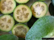 Feijoa Tree - Feijoa sellowiana, Apollo, Duffy, Mammoth, Nazematze