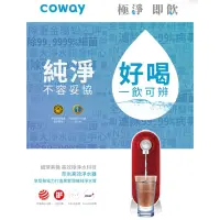 在飛比找蝦皮購物優惠-轉售 Coway 奈米高效淨水器 P-250N DIY 自裝