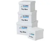 bird box subscription- Toys