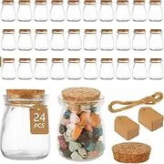 24 Pack Mini Yogurt Jars with Cork Lids, 4 oz/120ml Glass Favor Jars, Mini Pudding Jar, Mason Candle Bath Salt Jar, Wedding Favors Honey Pot, Extra Twine, Labels and Cleaning Brush