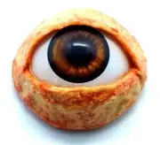 Halloween Prop Realistic Life Size Eye DOT third eye, masks, JEWELRY Brown FB01