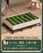 可移動種菜神器家庭陽台頂樓塑料花盆蔬菜專用帶輪種植箱2024新款 全館免運