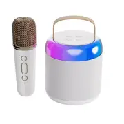 Microphone Bluetooth Speaker National Singing Home KTV Portable Outdoor5319