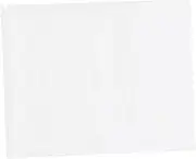 Ipetboom Carpet Protector Roll Plastic Rug Pad for Hard Floors Rug Carpet Pad for Custom Size