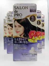 在飛比找Yahoo!奇摩拍賣優惠-日本DARIYA塔莉雅Salon De Pro沙龍級白髮專用