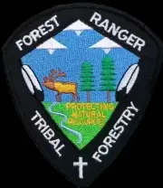 2000'sWhite Mountain Apache Tribal Forestry Patch Hard To Get Find Forest Ranger