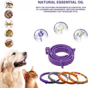8 Month Prevention Flea & Tick Adjustable Waterproof Puppys Dog Cat Pet Collars