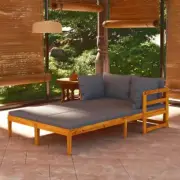 Garden Sunbed With Cushions And Pillows 2 Pcs Acacia Wood Day Bed Sun Lounger
