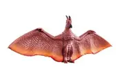 Godzilla Movie Monster Series Rodan 2019 (Godzilla: King of The Monsters) Sof...
