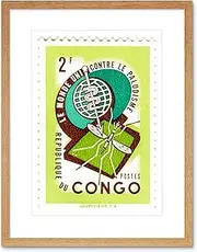 Postage Stamp Republic Congo 2 Two Franc Mosquito Malaria Framed Wall Art Print