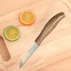 12Pcs Fruit Knife Slicer Cutter Peeler Kitchen Stainless Steel Household Cooking