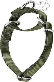 Dazzber Martingale Dog Collar Anti-Escape, High Density Nylon Durable Adjustable Collars, Comfy and Safe -Professional Training Pet Collar -Daily Walks for Small, Medium and Large Dogs