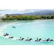 Save 8.00%! Horseback Ride/Swim and Blue Hole Falls from Montego Bay/Falmouth