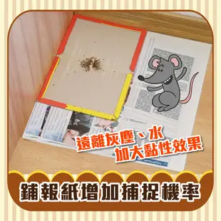 OP生活｜強力黏鼠板 老鼠板 捕鼠器 捕老鼠 老鼠夾 老鼠籠 捕鼠器 滅鼠器 抓老鼠 老鼠貼 粘鼠板 趨鼠板 黏鼠