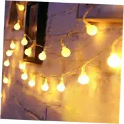 Globe Fairy String Lights Battery Operated Warm 19.7FT Globe lights-2Pack