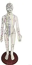 Human Acupuncture Model, Female Male Body Beginners, with English Acupuncture Point Marks, Meridians Acupuncture Acupuncture Model, for Acupuncture-Tool Point Model
