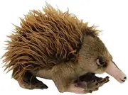 1632-26 Ganyi Echidna Soft Plush Toy, 22 Centimeters