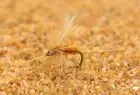 12 Flies - Sulphur Dry Fly - Mustad Signature Fly Fishing Hooks/Choose Size