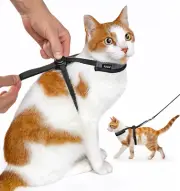 Furee Push-Button Harness for Cats Small Dogs Bunnys Ferrets for Walking, Non...