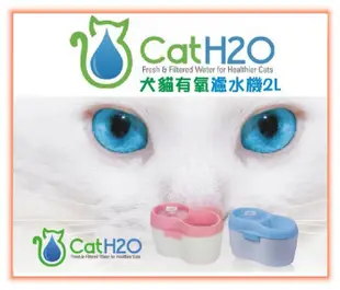 『Honey Baby』寵物用品專賣-DOG&CAT H2O 《有氧濾水機2L》活水飲水器/飲水機/淨水器(犬貓適用)
