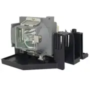 OEM H1Z1DSP00004 Lamp & Housing for Optoma Projectors with Original