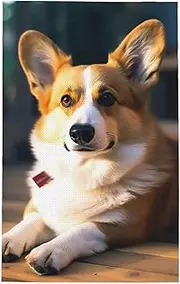 QMNEHJ Kitchen Towel Super Absorbent Dish Towels Smart Corgi Kitchen Hand Towels Large Dish Cloths with Hanging Loop Tea Towels Quick Drying Dish Rags Waffle Weave Towels 16"x 26"