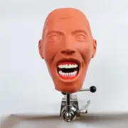 New Dental Manikins phantom head model dental simulator for Dental education
