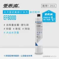 在飛比找momo購物網優惠-【EVERPURE 愛惠浦】EF6000活性碳濾芯(到府更換