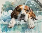 Beagle enjoying a bubble bath watercolor painting --ar 5 8x10 Print