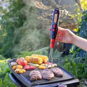 Sizzling Deal: KLEVA Flavour Fork™- The Ultimate Meat Thermometer