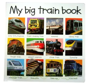 My Big Train Book