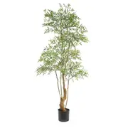 [Florabelle Living] Nandina Tree 180cm