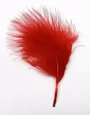 30 Pcs MARABOU PLUMAGE Feathers 2-5" Color : RED for Crafts, Hats/ Halloween