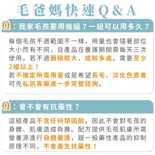 【歸毛家族】熱銷 護膚組合 (舒敏 保濕 洗毛精+護膚 噴液+精萃 營養霜) 貓 狗 護理 皮膚 穩定 沐浴乳 寵物沐浴