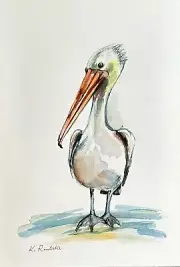 Australian Art Original Watercolour. Pelican