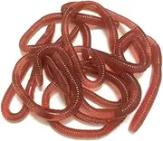 Stretchy Earthworms Realistic Earthworms - 20 Pieces Soft Flexible Fake Worm Set for Fun, Realistic Gag Toys for Practical Jokes, Reusable Fun for Family Friends Colleagues April Fools Day Halloween