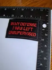 In My Defense I Was Left Unsupervised Patch Embroidered Iron-On Applique Funny