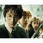 哈利波特 HARRY POTTER 系列集 8DVD 雙語高清