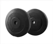 10KG Barbell Weight Plates Standard Home Gym Press Fitness Exercise 2pcs