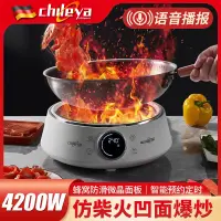 在飛比找蝦皮購物優惠-Chileya/智樂雅多功能電磁爐電火鍋家用小型全自動一體鍋