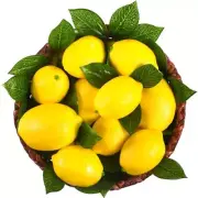 Solsew 48 Pack Fake Lemons Artificial Fruits with Leaves, 3.5" and 2.8" 2 Siz...