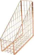 Ciieeo Mesh Wall Mounted Document Holder for Desk Letter Holder File Folder Wire Magazine File Storage Wall Mount File Holder Wire File Holder Book Organizer Wall-Mounted Basket