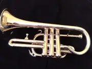 Cornet Chrome Polish Jazz Orchestra Instrument Student Model Professional Look