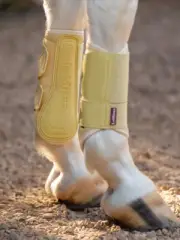 LeMieux Arika Mesh Brushing Boots - Mimosa