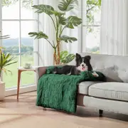 Charlie's Shaggy Faux Fur Bolster Sofa Protector Calming Dog Bed Eden Green Small